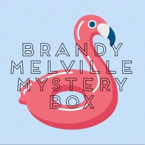 Brandy Melville Mystery Box